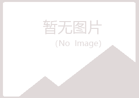 河池夏菡化学有限公司